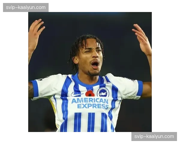 切尔西若昂·佩德罗即战力转化率35% 引援数据暴露评估危机 切尔西若昂·佩德罗即战力转化率35% 引援数据暴露评估危机